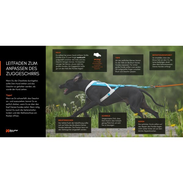 Freemotion Harness 5.0