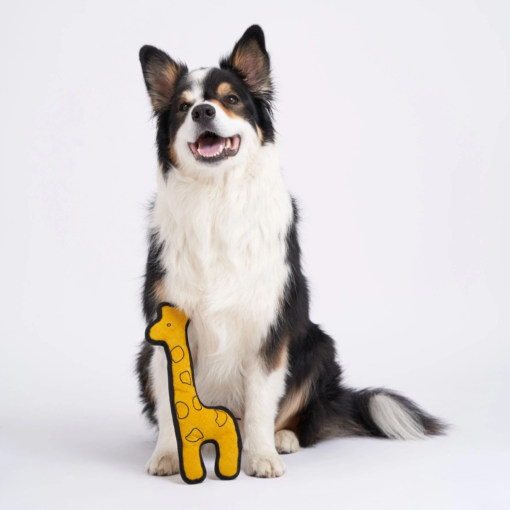 Hund_Giraffe1.webp