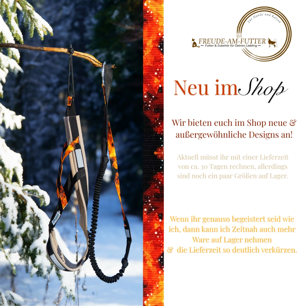 Instagram Post zu Artikeln  Neuheiten Bundles - Flames fertig.webp