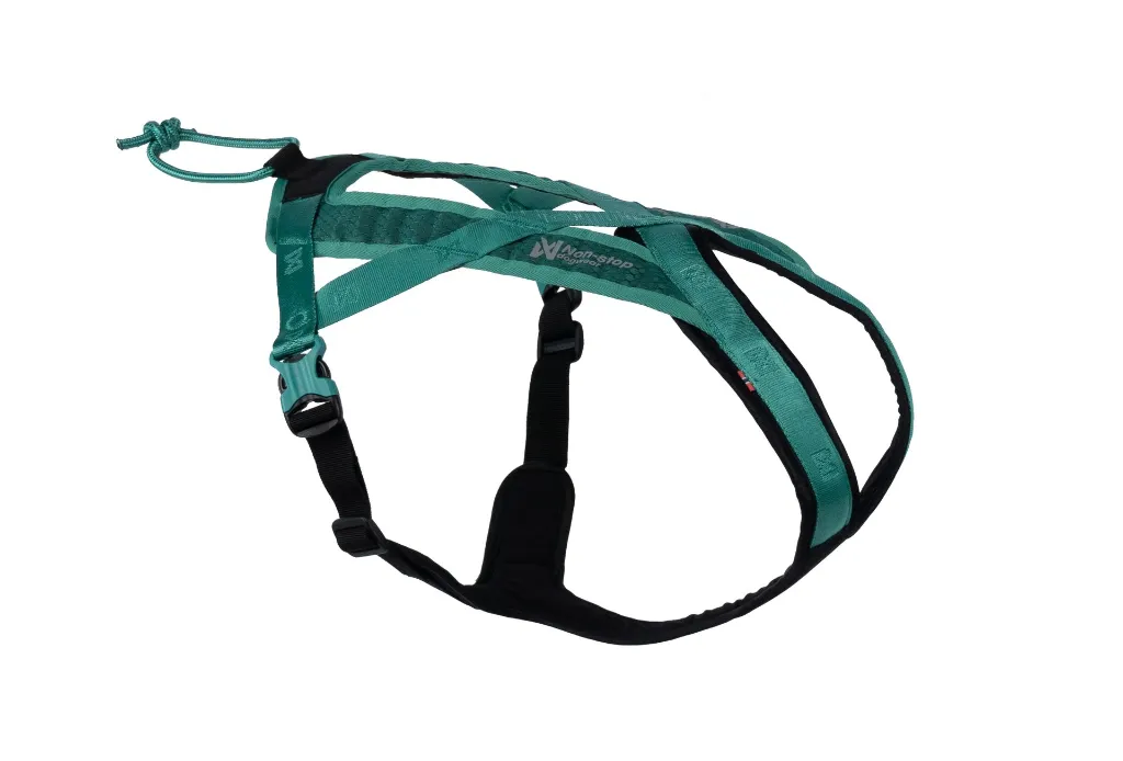 Rush Harness teal-black.webp