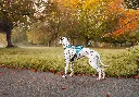 rush_harness_setting_8.webp