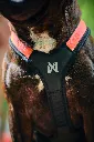 rush_harness_feature_4.webp