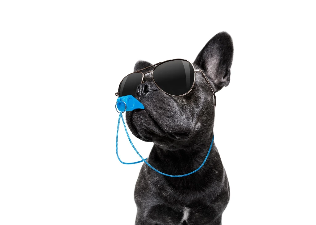 iStock-855401240.webp