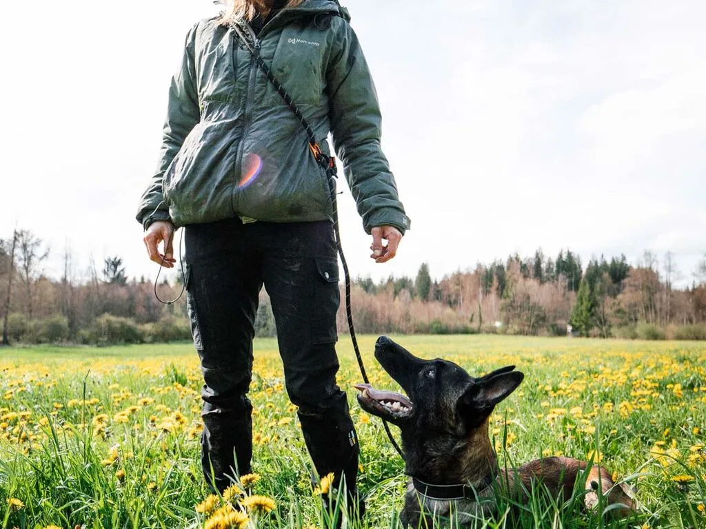PR183BI2158_LSH_55009_Rock_adjustable_leash_IMD.webp