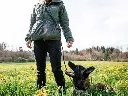 PR183BI2158_LSH_55009_Rock_adjustable_leash_IMD.webp