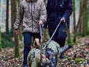 PR238BI2520_LSH_55023_Solid_leash_WD_IMD.webp