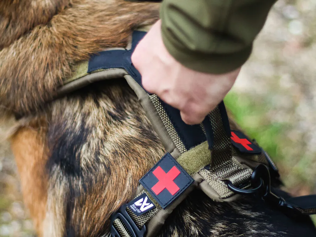 PR235BI2501_HRN_45013_Line_harness_grip_WD_IMD.webp