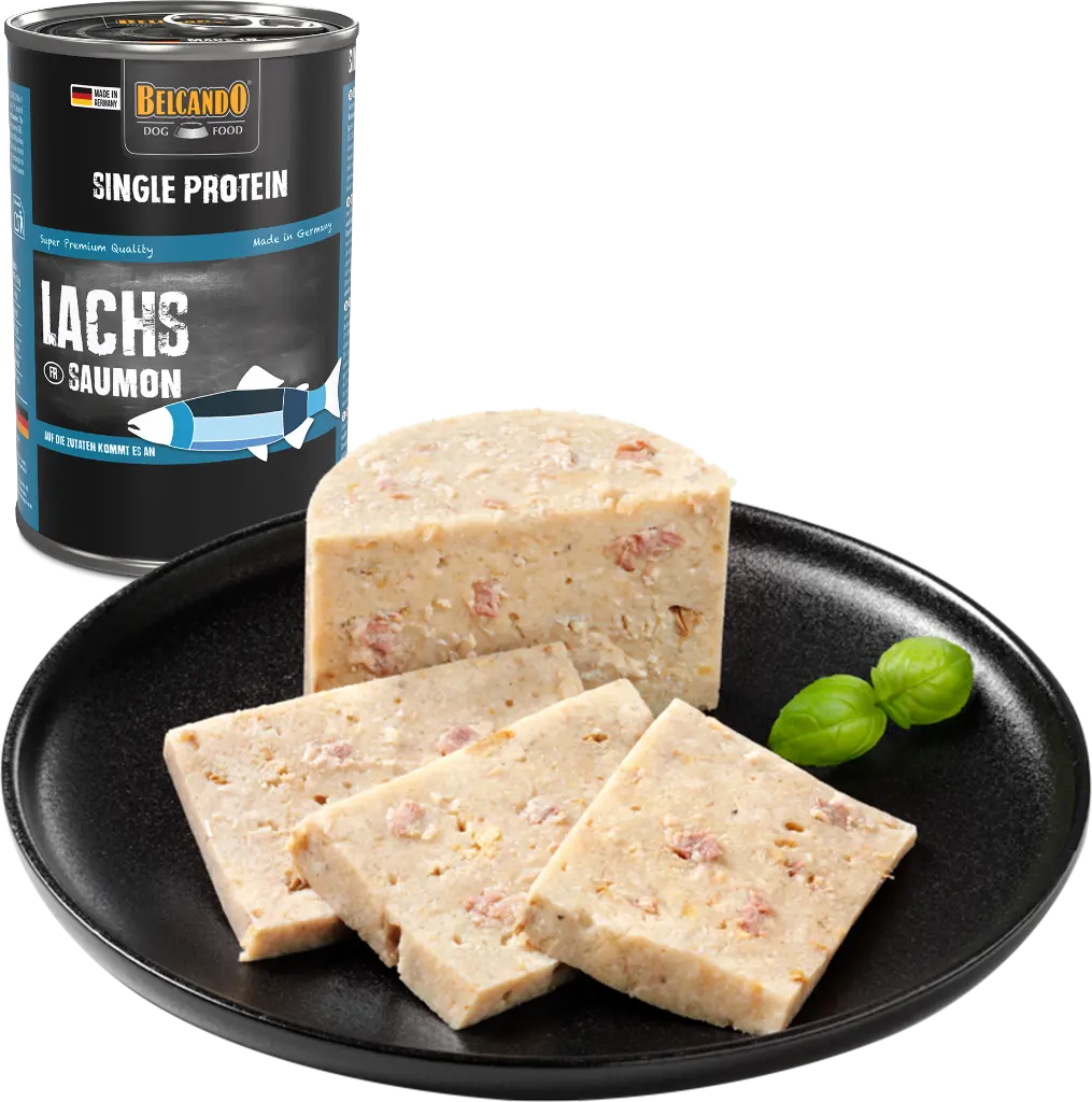 bb-sp-lachs-foodcomp.webp