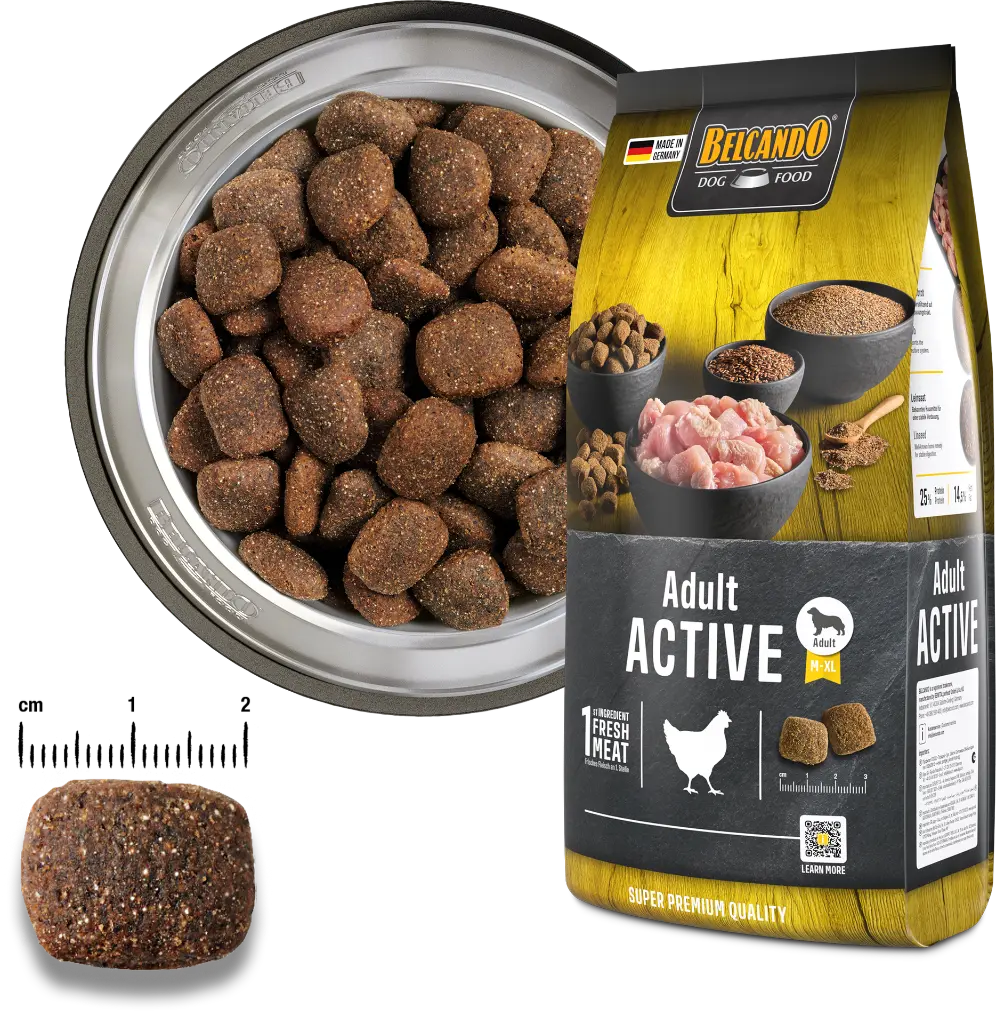 bb-classic-adult-active-foodcomp.webp