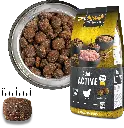 bb-classic-adult-active-foodcomp.webp