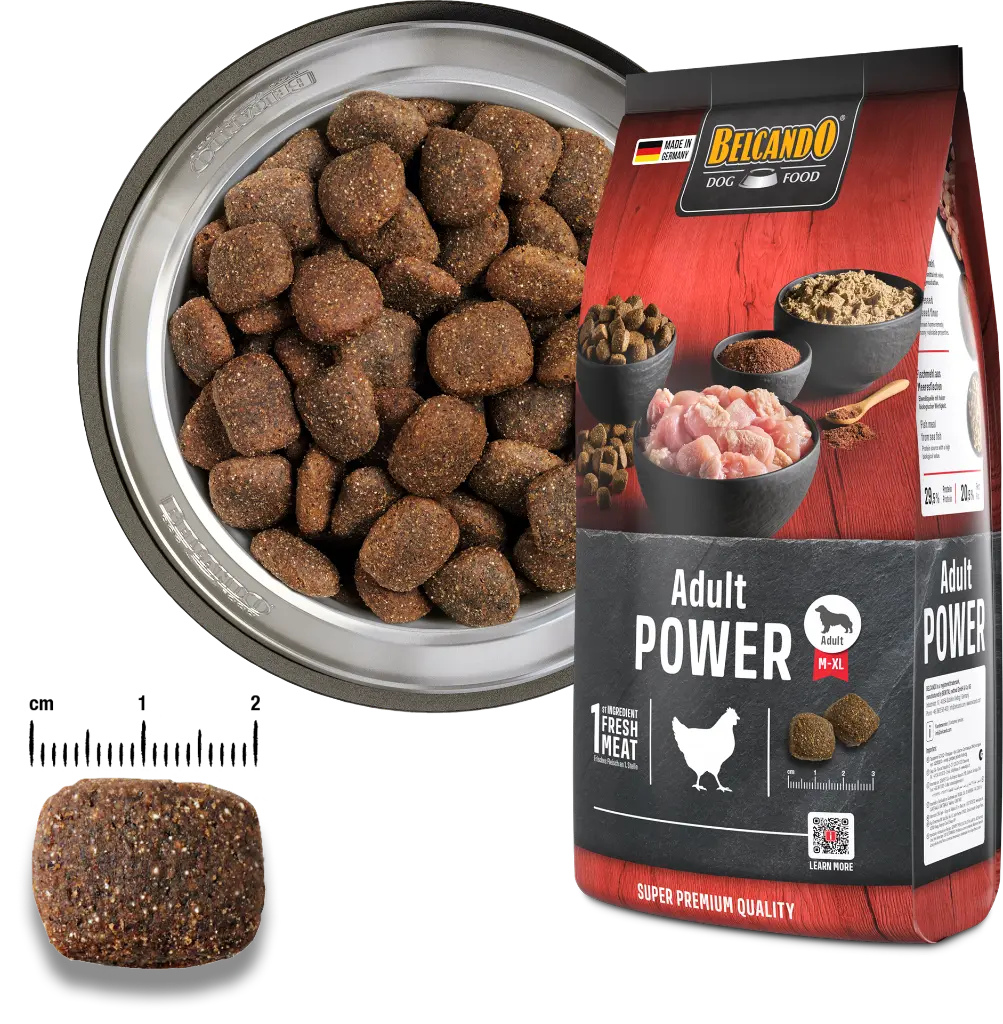 bb-classic-adult-power-foodcomp.webp