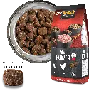 bb-classic-adult-power-foodcomp.webp