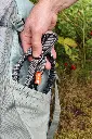 Terra Mini4.webp