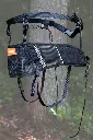 Rebelt7.webp