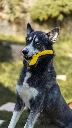Bild (5 von 13).webp