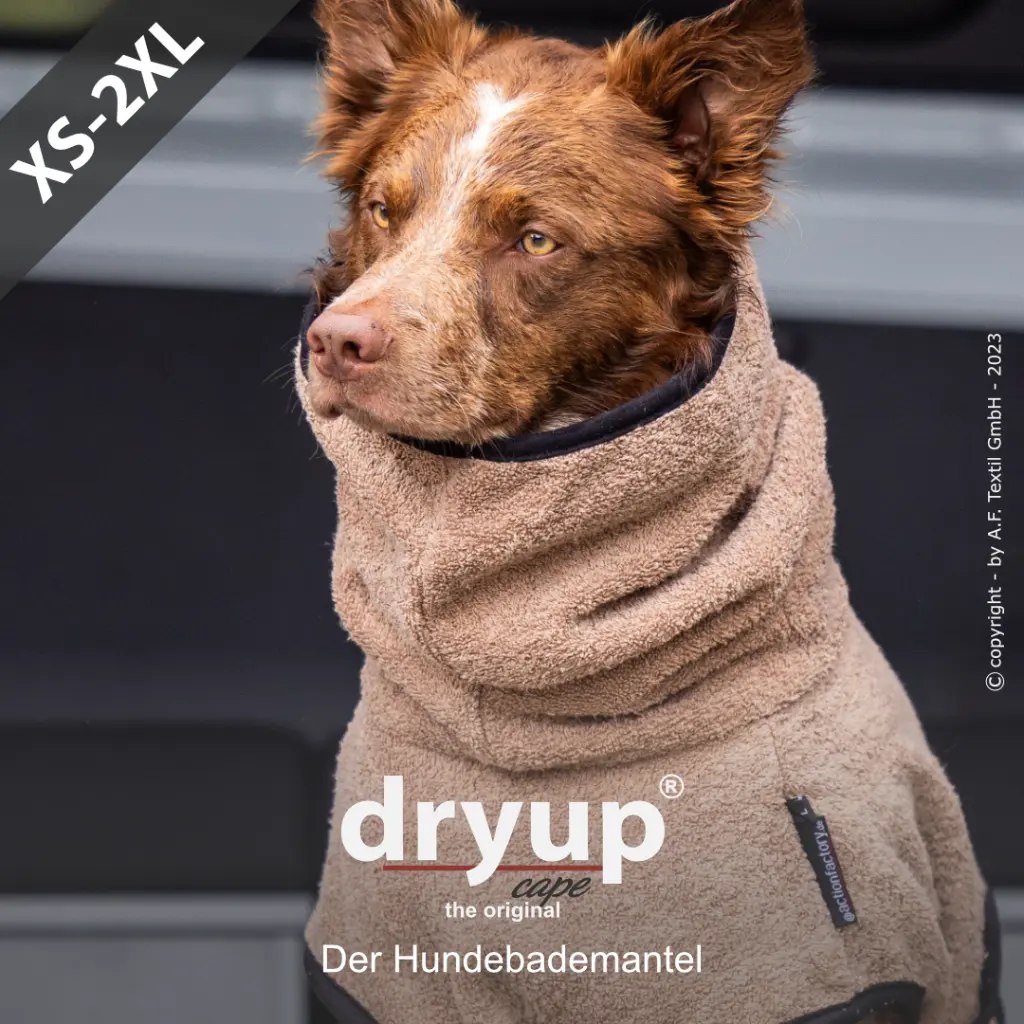 dryup XS-2XL -coffee- Produktbild.webp