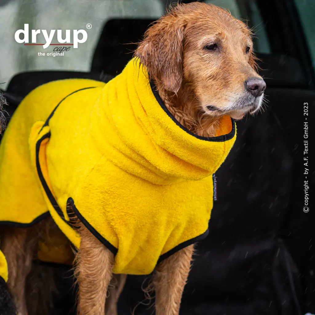 dryup cape XS-2XL -yellow- Produktbilder-5.webp