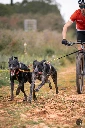 SHOOTING CANICROSS-263.webp