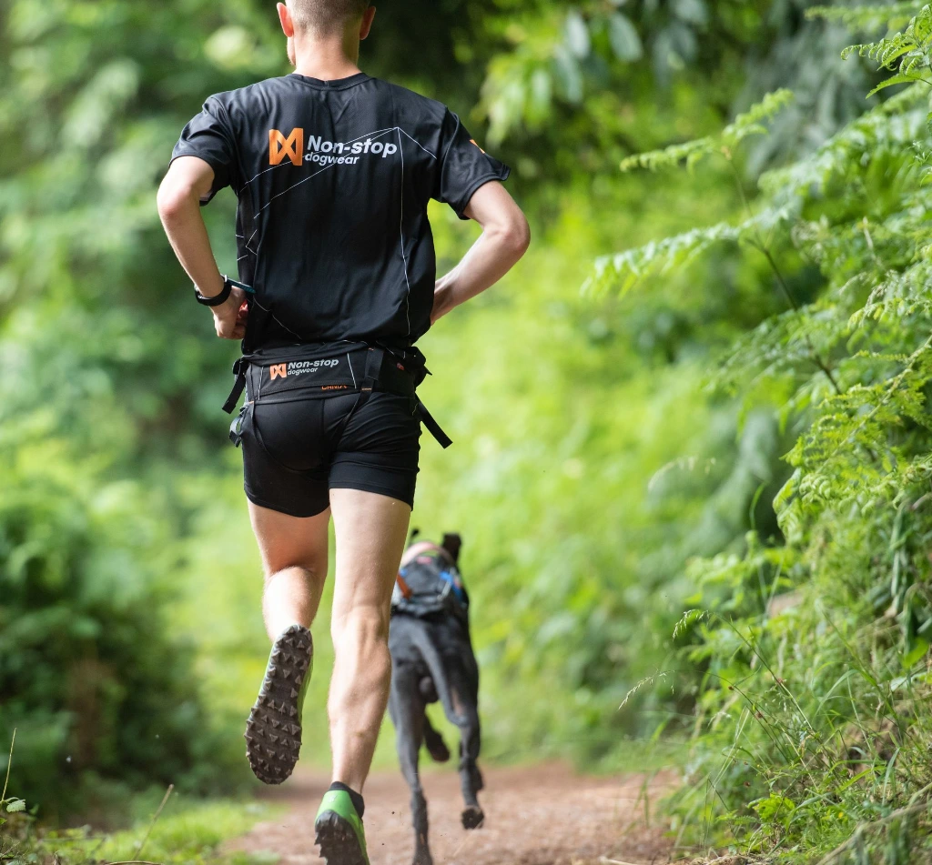 nonstopdogwear_b2b_CaniX Belt, Freemotion Harness 2019_DSC_8736_5.webp