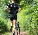 nonstopdogwear_b2b_CaniX Belt, Freemotion Harness 2019_DSC_8736_5.webp