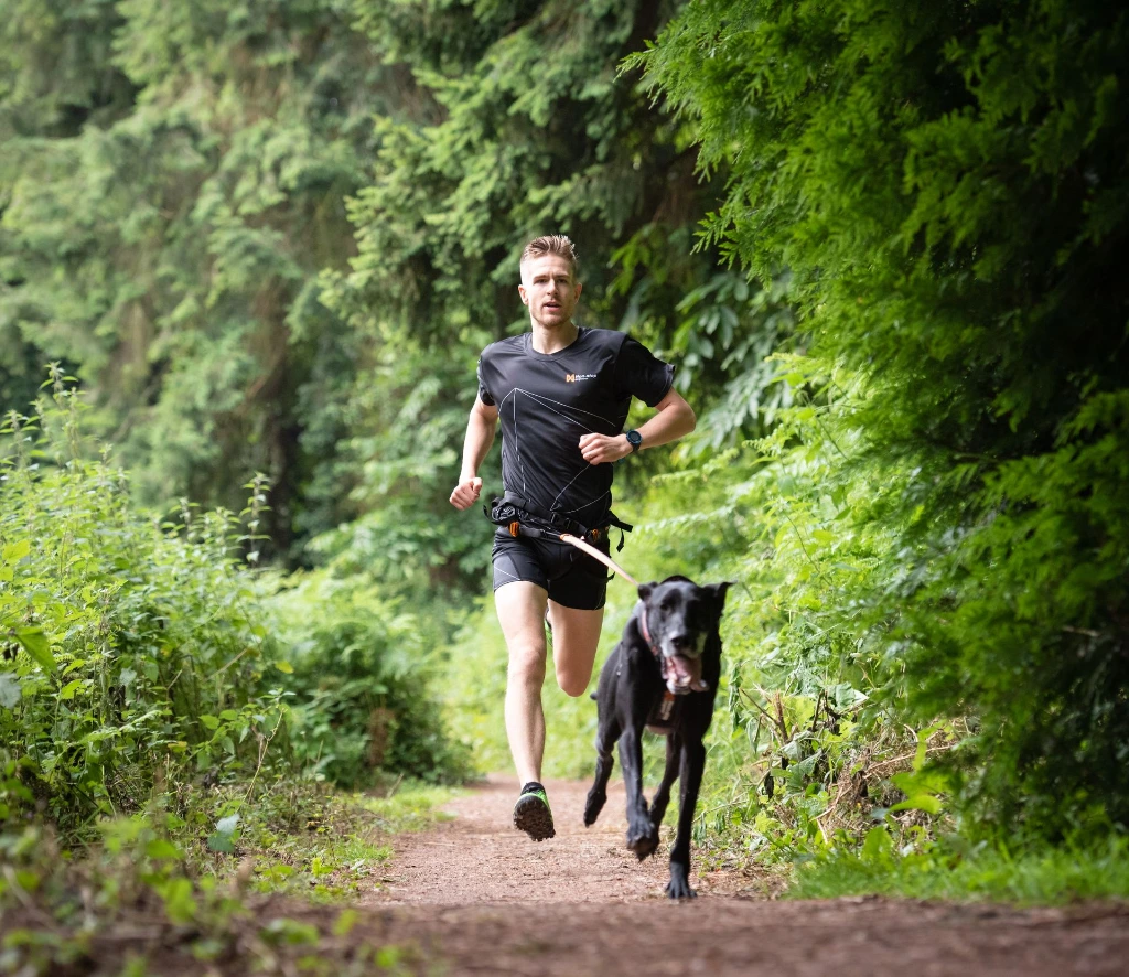 nonstopdogwear_b2b_CaniX Belt, Freemotion Harness 2019_DSC_8621-Edit_4.webp