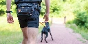 nonstopdogwear_b2b_CaniX Belt, Freemotion Harness 2019_DSC_8963_6.webp