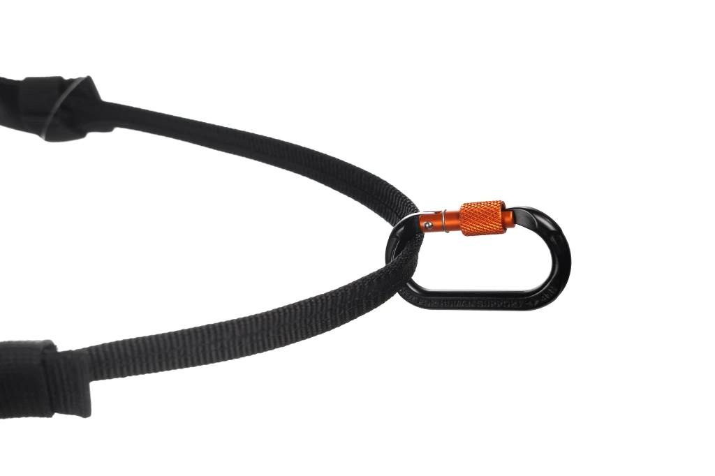 nonstopdogwear_b2b__DSCF2485_2.webp
