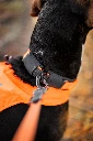 protector_collar_setting_5.webp