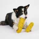 Baguette Kes 2.webp