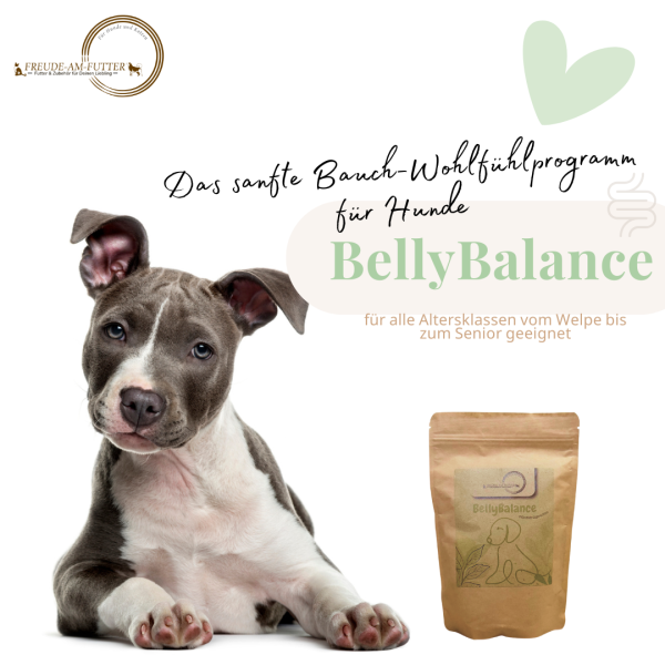 BellyBalance - natürliche Darmunterstützung