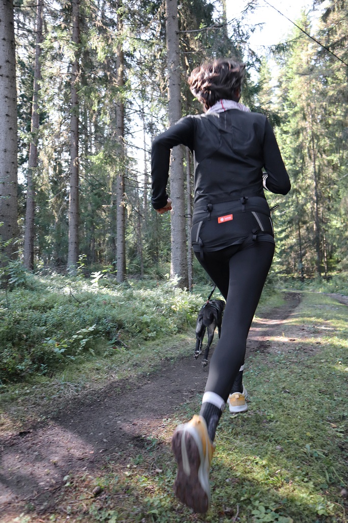 Lumac Rebelt Canicrossgurt schwarz