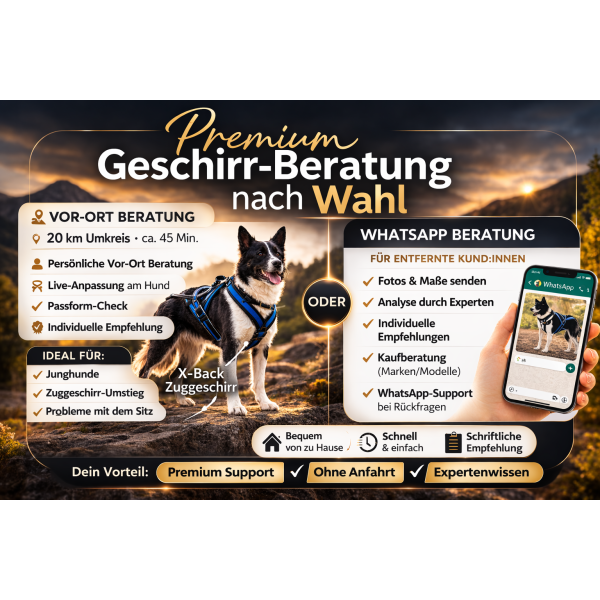 Equipment-Beratung Zughundesport – Geschirr & Setup für Canicross, Scooter & Bikejöring (Beratung vor Ort in 71566 Althütte)