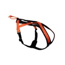 Rush Harness