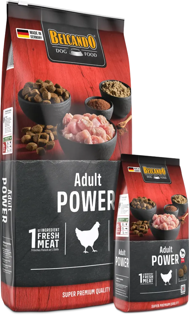 Adult Power – Power für sehr aktive & sportliche Hunde (1 Kilo)