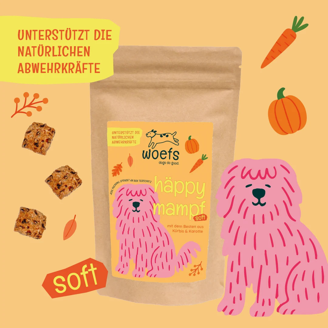 woefs häppy mampf – Herbstsnack mit Kürbis & Karotte | 160 g