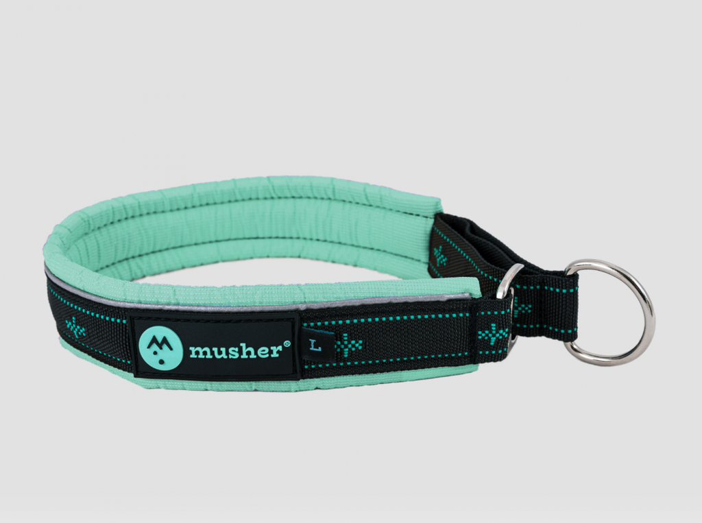 Musher TAKOTNA – Gepolstertes Zugstopp-Halsband